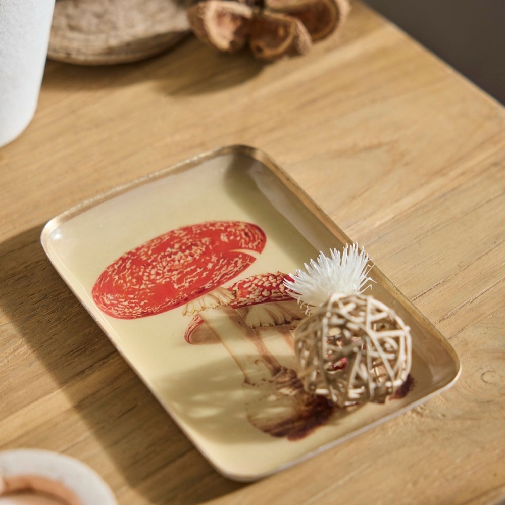 Terrain/Anthropologie Mushroom Archival Tray
